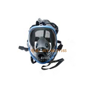 ������ VEMASK01���o(h��)����