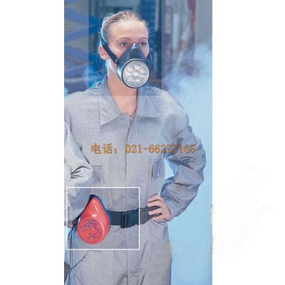 �͹�Evamasque����ʽ������