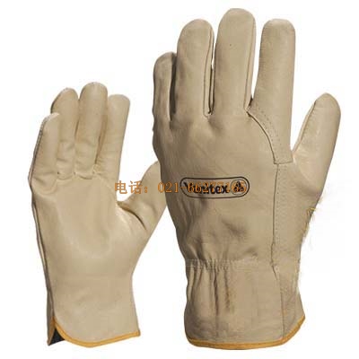 ������ ȫ�iƤ����