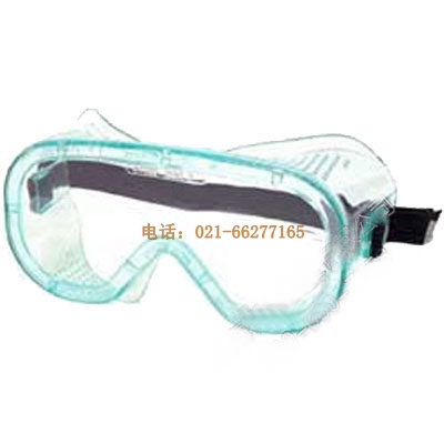 MSA梅思安 E-Gard防護(hù)眼罩9913221