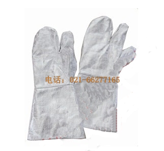 �X�������������