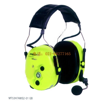 MT53H7AWS2-01GB ͨӍ����