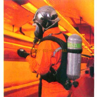 MSA BD2100���F���Խoʽ�՚������