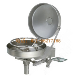 HAWS 掛壁式洗眼裝置